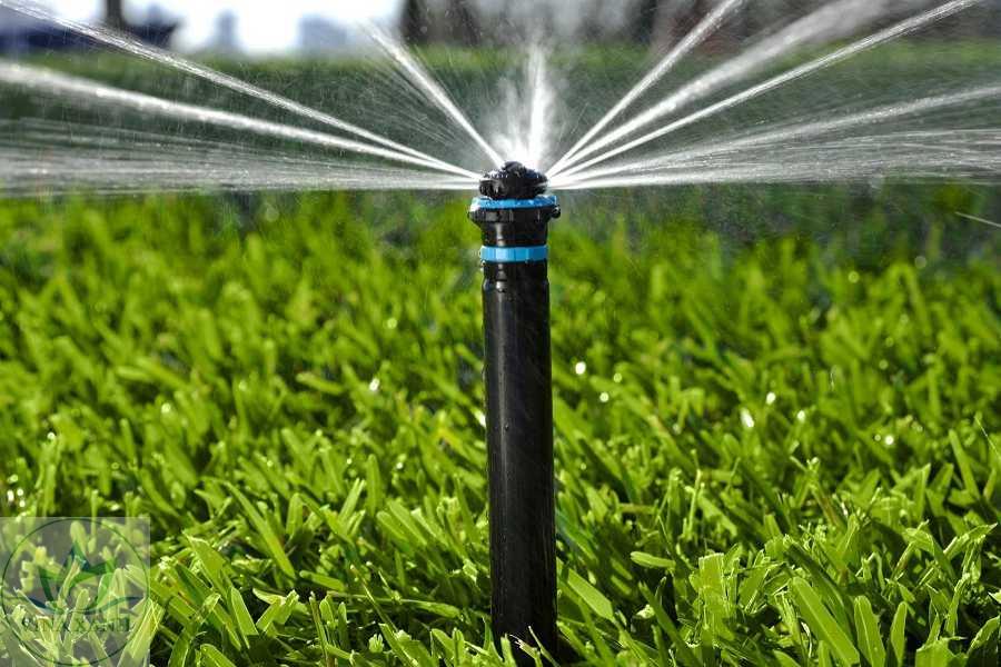 Hệ Thống Tưới Thông Minh: Giải Pháp Vườn Xanh Cho Người Bận Rộn